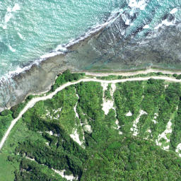 Satellite imagery of Maruhou Point, NZ