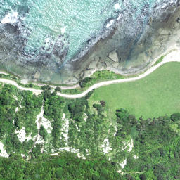 Satellite imagery of Maruhou Point, NZ