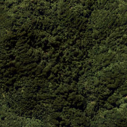Satellite imagery of Eliza Mine, NZ