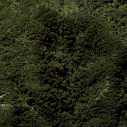 Satellite imagery of Eliza Mine, NZ