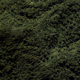 Satellite imagery of Eliza Mine, NZ