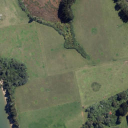 Satellite imagery of Opunui Point, NZ