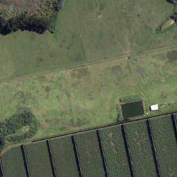Satellite imagery of Opunui Point, NZ