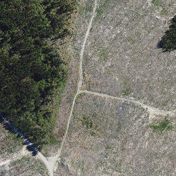 Satellite imagery of North West Rock, NZ