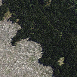 Satellite imagery of North West Rock, NZ