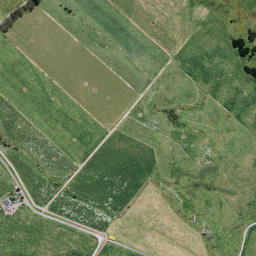 Satellite imagery of B NO 2, NZ