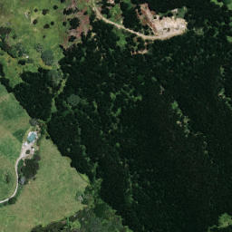 Satellite imagery of B NO 2, NZ
