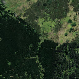 Satellite imagery of B NO 2, NZ
