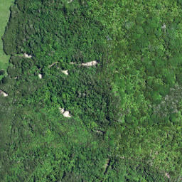 Satellite imagery of Maruhou Point, NZ