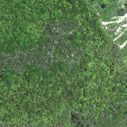 Satellite imagery of Maruhou Point, NZ