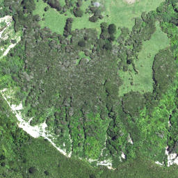 Satellite imagery of Maruhou Point, NZ