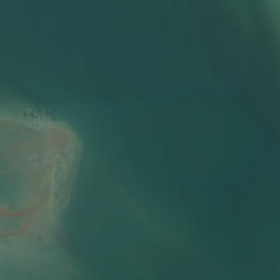 Satellite imagery of Opunui Point, NZ