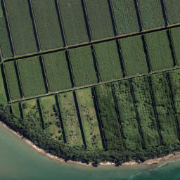 Satellite imagery of Opunui Point, NZ