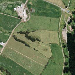 Satellite imagery of B NO 2, NZ