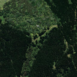 Satellite imagery of B NO 2, NZ