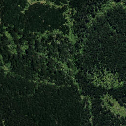 Satellite imagery of B NO 2, NZ