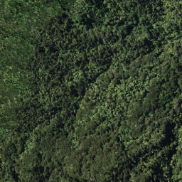 Satellite imagery of 5 TE RANGINUI, NZ