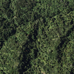 Satellite imagery of 5 TE RANGINUI, NZ