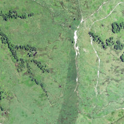 Satellite imagery of 6254, NZ
