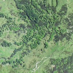 Satellite imagery of 6254, NZ