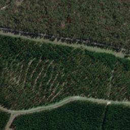 Satellite imagery of Plantation Hill, AU