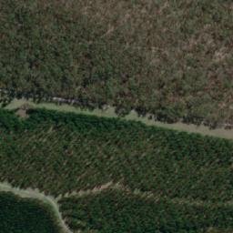Satellite imagery of Plantation Hill, AU