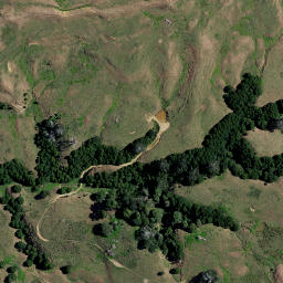 Satellite imagery of 1600 TAIEPAKOWHAI, NZ