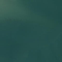 Satellite imagery of Opunui Point, NZ