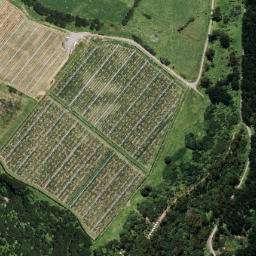 Satellite imagery of B NO 2, NZ