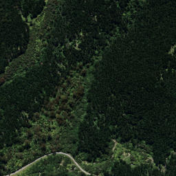 Satellite imagery of B NO 2, NZ