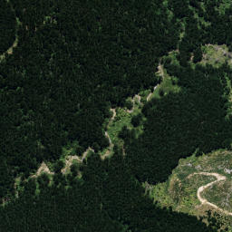 Satellite imagery of B NO 2, NZ