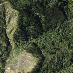 Satellite imagery of 5 TE RANGINUI, NZ