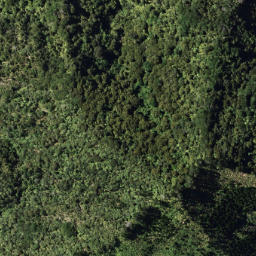 Satellite imagery of 5 TE RANGINUI, NZ
