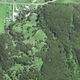 Satellite imagery of 6372, NZ