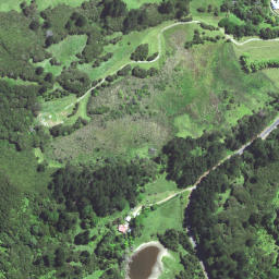 Satellite imagery of 6372, NZ