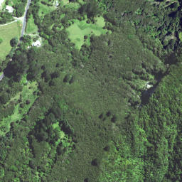 Satellite imagery of 6372, NZ