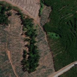 Satellite imagery of Alto Los Mayos, CL