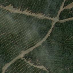Satellite imagery of Plantation Hill, AU