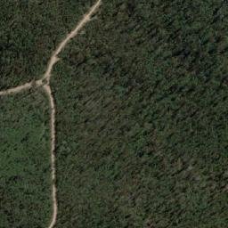 Satellite imagery of Bone Hill, AU