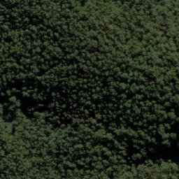 Satellite imagery of Mount Cann, AU