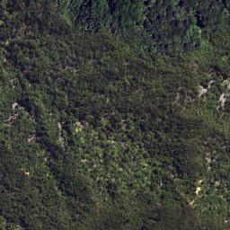 Satellite imagery of 6253, NZ