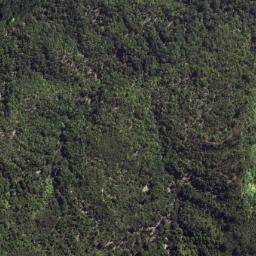 Satellite imagery of 6253, NZ