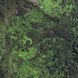 Satellite imagery of 6253, NZ