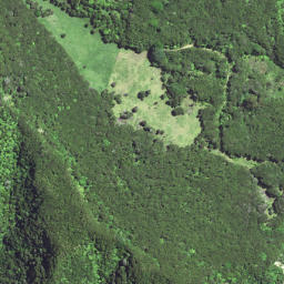 Satellite imagery of 6372, NZ