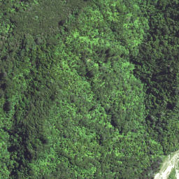 Satellite imagery of 6372, NZ