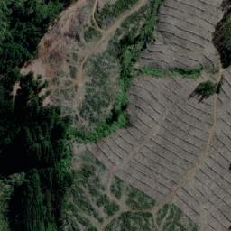 Satellite imagery of Punta Liles, CL