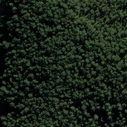 Satellite imagery of Mount Cann, AU