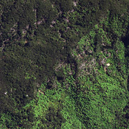 Satellite imagery of 6253, NZ