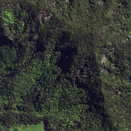 Satellite imagery of 6253, NZ