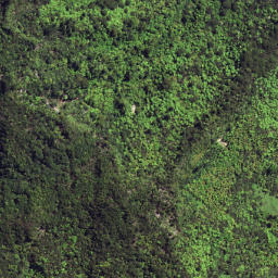 Satellite imagery of 6253, NZ